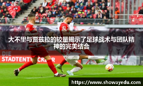 彩神VI首页官网